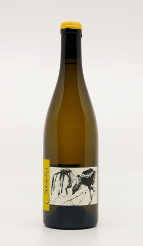 PATTES LOUP - Chablis 2019 white, wine village from chablis