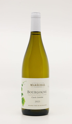 CLAUDE MARECHAL - Bourgogne Chardonnay Cuvée Antoine 2023 white, wine régionale from bourgogne chardonnay