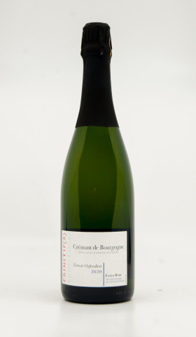 RICHARD ANGONIN - Crémant de Bourgogne Terroir Oxfordien Extra Brut Millésimé 2020 white - Wine from régionale crémant