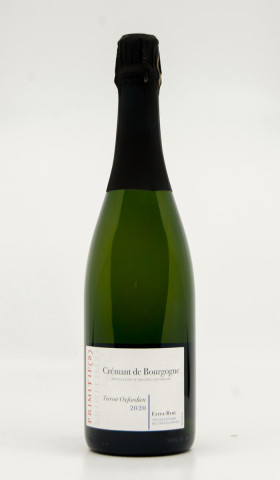 RICHARD ANGONIN - Crémant de Bourgogne Terroir Oxfordien Extra Brut Millésimé 2020 blanc - Vin régionale crémant de
