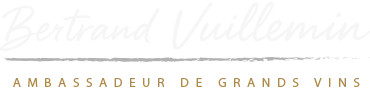 Bertrand Vuillemin
