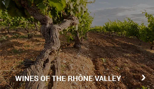 Wines of the Rhône valley