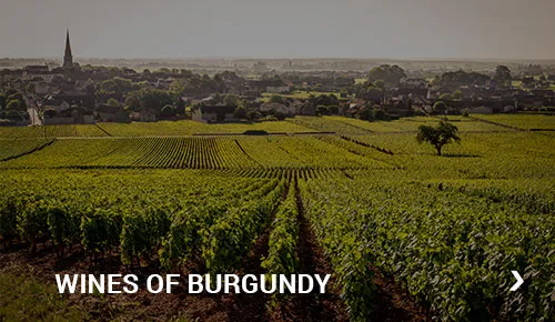 Wines of Burgundy