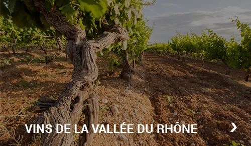 Vins de la vallée du Rhône