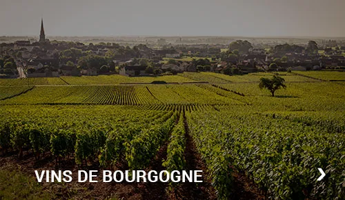 Vins de Bourgogne