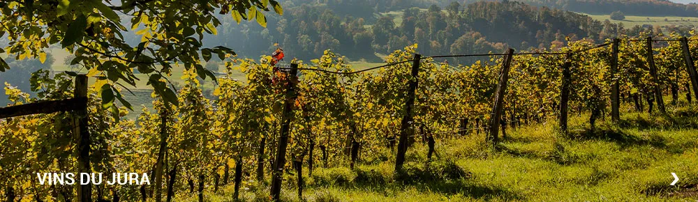 Vins du Juras