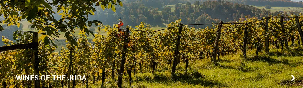 Wines of the Jura